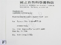 登錄號:F0014437藏品圖，第2張