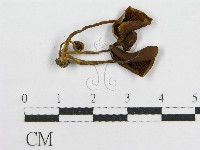 登錄號:F0014437藏品圖，第3張