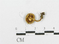 登錄號:F0014438藏品圖，第3張