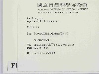 小菇屬藏品圖，第2張