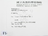 登錄號:F0014442藏品圖，第2張