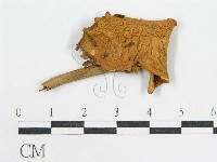 登錄號:F0014442藏品圖，第3張