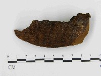 登錄號:F0014443藏品圖，第3張
