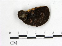 登錄號:F0014444藏品圖，第1張