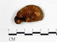 登錄號:F0014444藏品圖，第3張