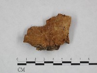 登錄號:F0014447藏品圖，第1張