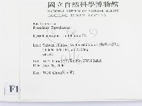 登錄號:F0014450藏品圖，第2張