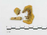 登錄號:F0014450藏品圖，第4張