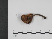 登錄號:F0014451藏品圖，第3張