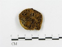 登錄號:F0014453藏品圖，第1張