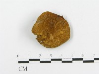 登錄號:F0014453藏品圖，第3張