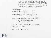 登錄號:F0014455藏品圖，第2張