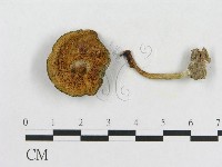 登錄號:F0014455藏品圖，第1張