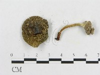 登錄號:F0014455藏品圖，第3張