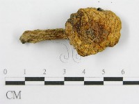 登錄號:F0014456藏品圖，第3張