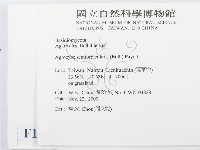 登錄號:F0014458藏品圖，第2張