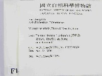 相鄰小孔菌藏品圖，第2張