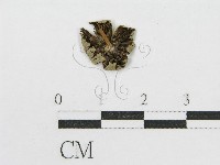 登錄號:F0014460藏品圖，第1張