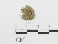 登錄號:F0014460藏品圖，第3張