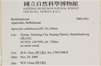 登錄號:F0014461藏品圖，第4張