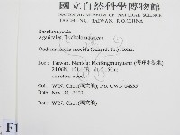 登錄號:F0014462藏品圖，第2張