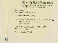 登錄號:F0014463藏品圖，第2張