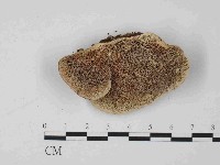 登錄號:F0014467藏品圖，第3張