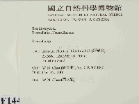 銀耳屬藏品圖，第2張