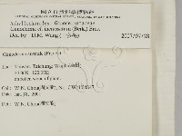 登錄號:F0014473藏品圖，第2張