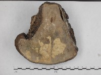 登錄號:F0014473藏品圖，第4張