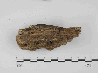 登錄號:F0014476藏品圖，第3張