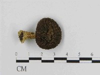 登錄號:F0014480藏品圖，第3張