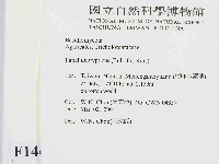 登錄號:F0014482藏品圖，第2張