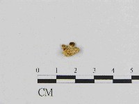 登錄號:F0014482藏品圖，第1張