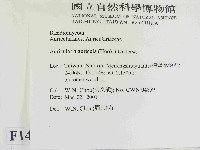 登錄號:F0014484藏品圖，第2張