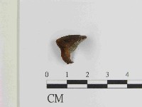 登錄號:F0014484藏品圖，第1張