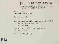 登錄號:F0014485藏品圖，第2張