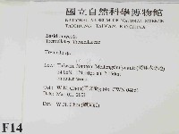 銀耳屬藏品圖，第2張