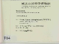 刺革菌屬藏品圖，第2張