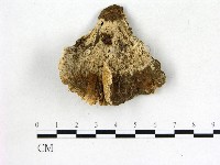 登錄號:F0014488藏品圖，第3張