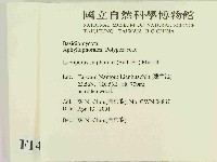 登錄號:F0014490藏品圖，第2張