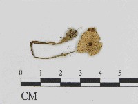 登錄號:F0014493藏品圖，第1張