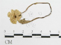 登錄號:F0014493藏品圖，第3張