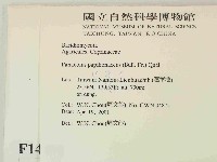 登錄號:F0014498藏品圖，第2張