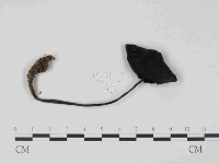 登錄號:F0014498藏品圖，第1張