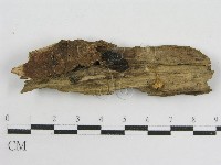 登錄號:F0014499藏品圖，第4張