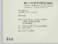 小菇屬藏品圖，第2張