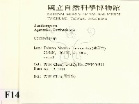 登錄號:F0014504藏品圖，第2張