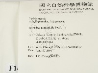 登錄號:F0014505藏品圖，第2張