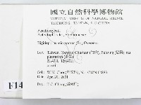 登錄號:F0014506藏品圖，第2張